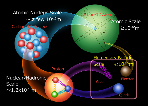 The view of elementary particles from a carbon atom.